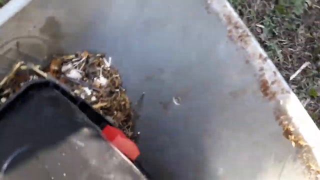 Обзор Измельчитель садовый Зубр ЗИЭ-44-2800 смотреть онлайн