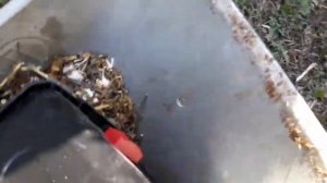 Обзор Измельчитель садовый Зубр ЗИЭ-44-2800