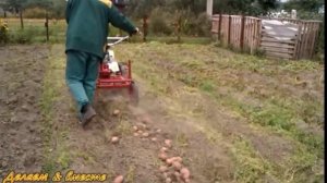 Картофелекопалка грохотного типа для мотоблока Фаворит