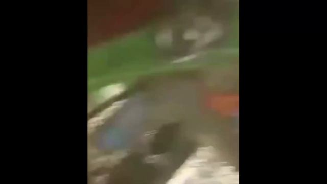 Рыбалка, палатка и газ - полный Атас! Не повторять! смотреть онлайн