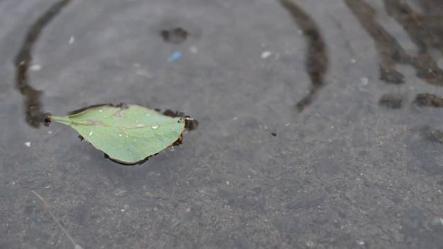 Я жил по расписанию Бенджамина Франклина неделю и вот что получилось смотреть онлайн