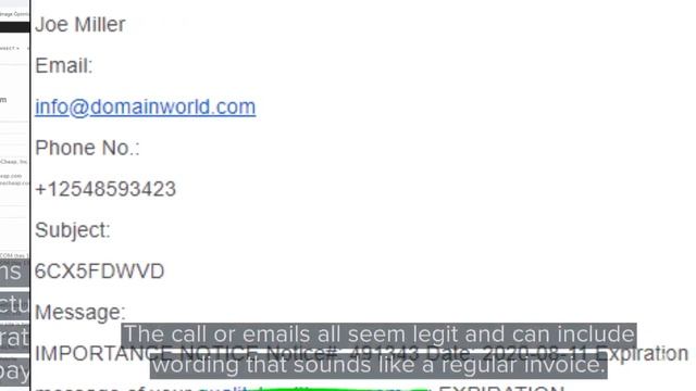 Domain Scam смотреть онлайн