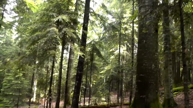 ? ТУРИСТИЧЕСКИЕ GPS-навигаторы в походных условиях смотреть онлайн