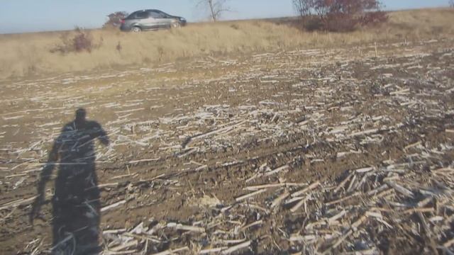 Озимая пшеница. Приветы. Новости.