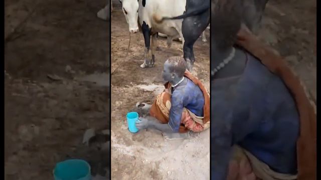 ЮЖНЫЙ СУДАН 🇸🇸 Утро в племени мундари смотреть онлайн