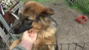 Подробная кладка печи, порядовка (3 часть) 3 х 3,5 кирпича  6- 13 ряд