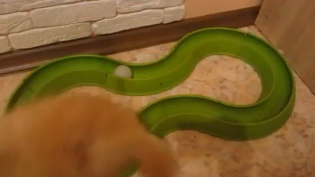 Кошка красный с белм 20143 смотреть онлайн
