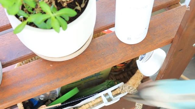 #46 중년의 건강을 유지하는 방법 | 건강한 밥상과 살림