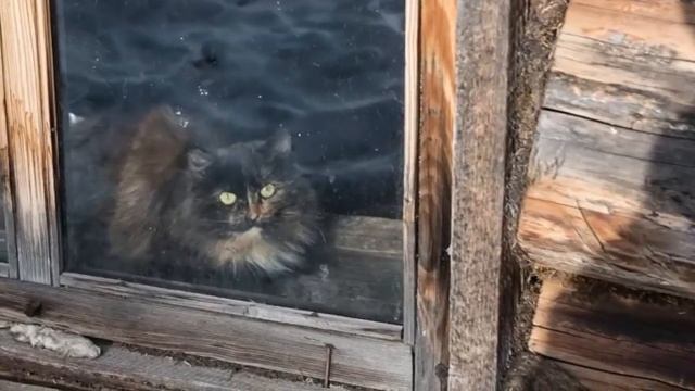 Агафья Лыкова Последние новости 2021. Подарки к Новому году для отшельницы смотреть онлайн