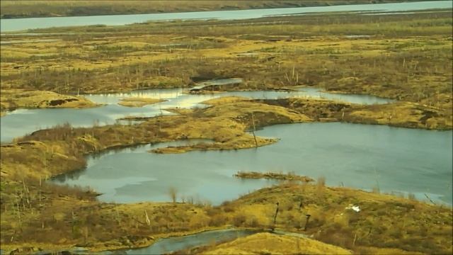 2023.10.20. Тундра возле Норильска без снега!!! смотреть онлайн