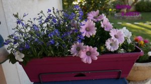 ЦВЕТОЧНЫЕ КОМПОЗИЦИИ ДЛЯ ФАСАДА ДОМА/ ПОДВЕСНЫЕ КАШПО # 5