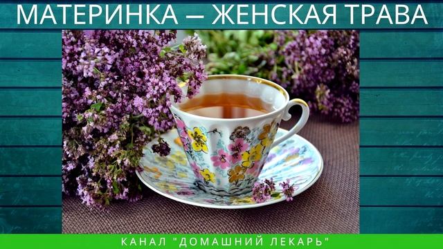 Женская трава душица - Домашний лекарь - выпуск №307 смотреть онлайн