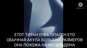 кто такая акула самолёт ??? | ужасы тревора хендерсона