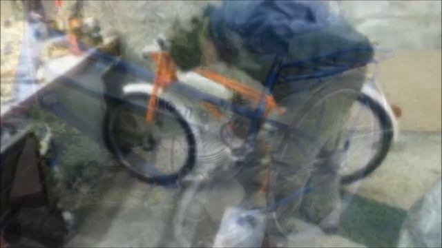 Мопед - ЗиФ 77