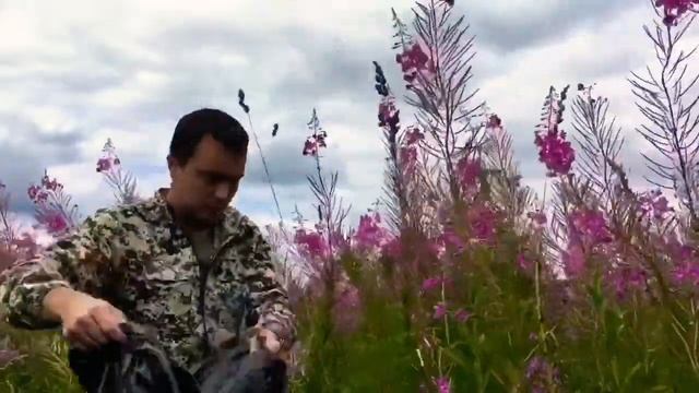 Что пили на Руси вместо чая? ИВАН-ЧАЙ, заготовка и хранение ПРАВИЛЬНЫЙ СПОСОБ ! Ферментируем кипрей смотреть онлайн