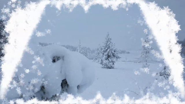 Полярный снег идет!! смотреть онлайн