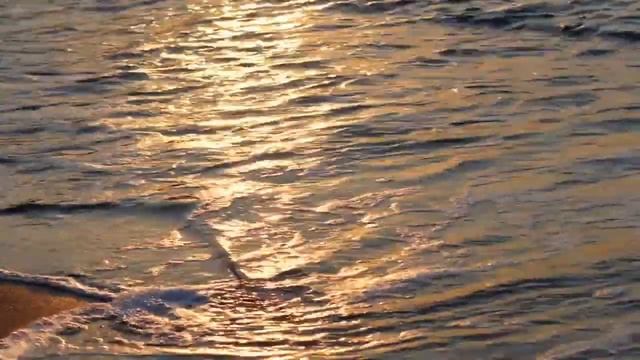 Beyond the Sea - Cover смотреть онлайн