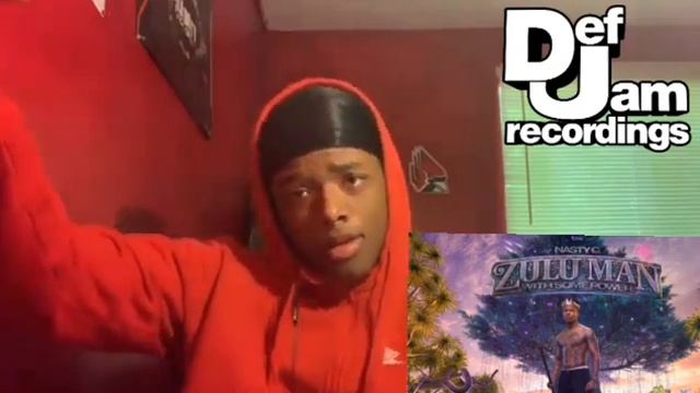Americans react: Nasty C ft lil keed & lil gotit - BooKoo Bucks|#SA|#USA|#ThatfireLA смотреть онлайн