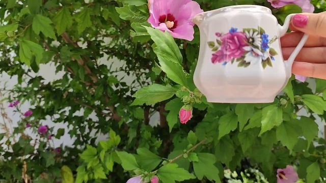 ПРОДАЮ Тарелочка Гарднер Чайник Рижский завод и Молочники СССР смотреть онлайн