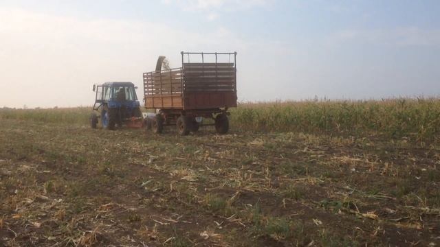 КСД-2,0 Sterh уборка кукурузы на силос
