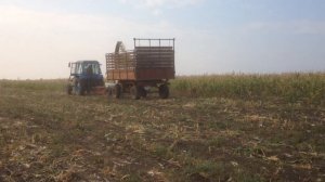КСД-2,0 Sterh уборка кукурузы на силос
