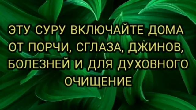 ЭТУ СУРУ ВКЛЮЧАЙТЕ ДОМА - СУРА ОТ ПОРЧИ, СГЛАЗА, КОЛДОВСТВА, ЗАВИСТИ, ДЖИННОВ, БОЛЕЗНЕЙ. смотреть онлайн