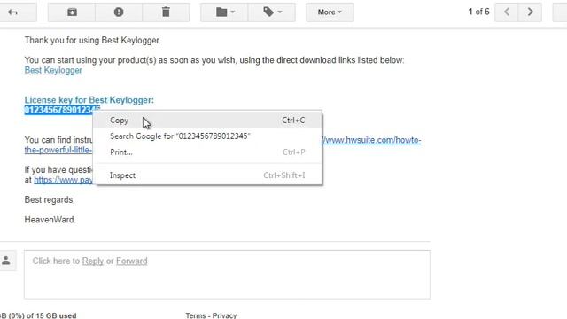 Register My License Key – Best Keylogger смотреть онлайн