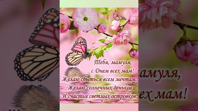 С праздником матери! Вернее мамочки! #деньмамы #деньматери #праздник #поздравления #мама #дети