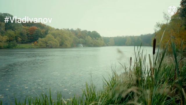 ,, СЛЁЗЫ ДОЖДЯ "АВТОРСКАЯ РАБОТА VLAD IVANOV #VladIvanov смотреть онлайн