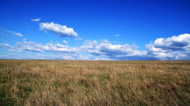 5 самых тупых теорий сторонников плоской Земли! смотреть онлайн