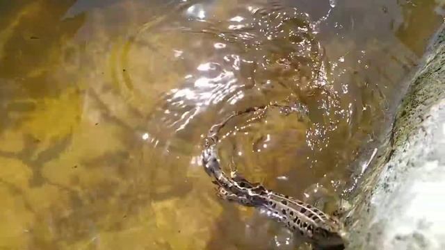 Тест камеры Xiaomi Redme Note 7