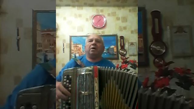 Песни на гармони и баяне смотреть онлайн