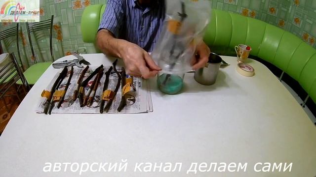 Как вырастить виноград из черенков. Проращивание черенков винограда в домашних условиях по разному смотреть онлайн