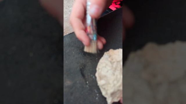 Не детские игры! Раскопки, нашли аммонитов! 🐚 смотреть онлайн