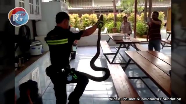 Python breaks in to Phuket City Police Station смотреть онлайн