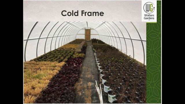 Perennial Plants For Every Season—the Right Material At The Right Time