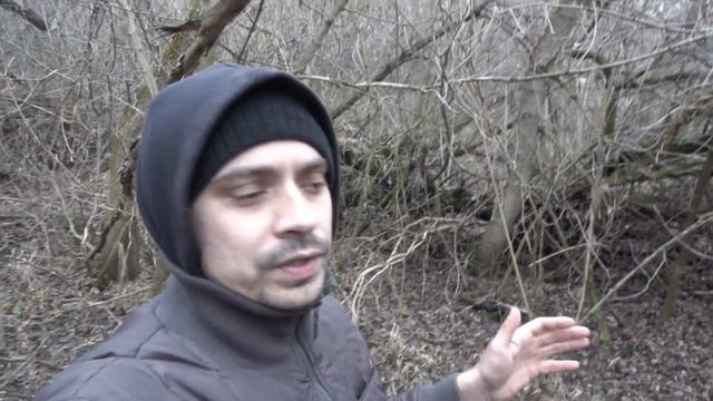 КАКИЕ ГРИБЫ МОЖНО ВСТРЕТИТЬ ЗИМОЙ / ГРИБЫ К НОВОГОДНЕМУ СТОЛУ смотреть онлайн