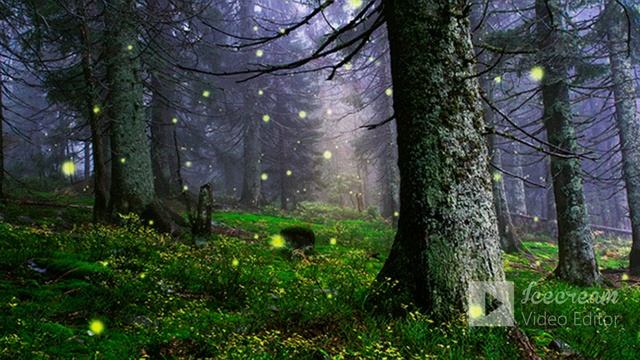 Музыка для глубокого сна. Послушай 5 минут и ты сразу же глубоко заснешь