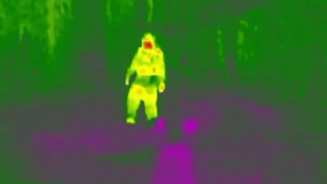 Прячемся от тепловизора FLIR SCOUT TK смотреть онлайн