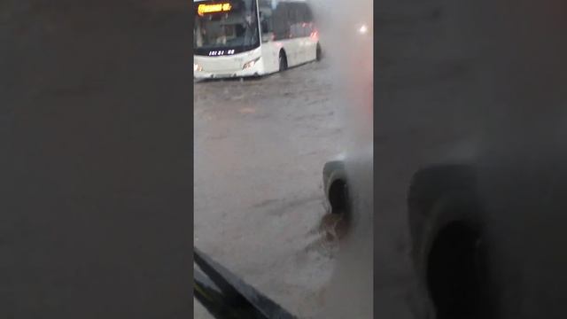 Город санкт-петербург улица Софийская смотреть онлайн