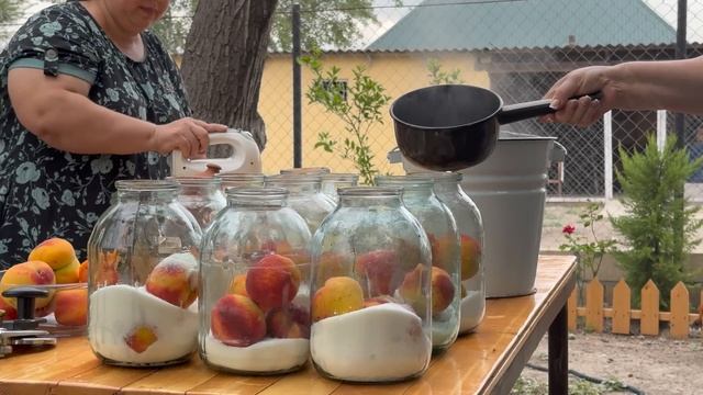 Harvesting Fresh PEACHES And Making Peach Juice And Pie