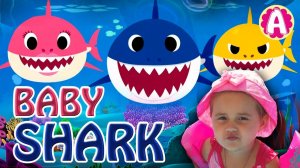 Baby Shark Dance | Sing and Dance! | Animal Songs | KIDS ARISHA SHOW Songs for Children