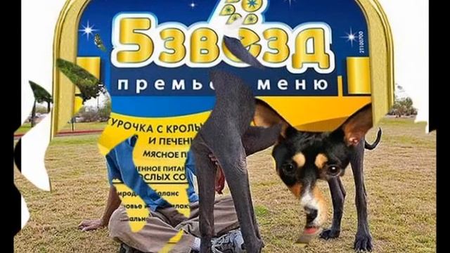 хиллс для собак купить смотреть онлайн