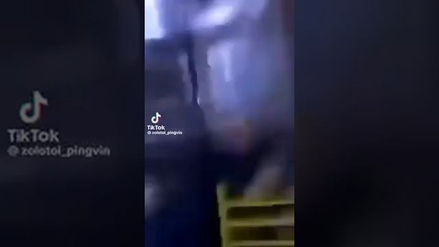 Поляка укусила крыса смотреть онлайн