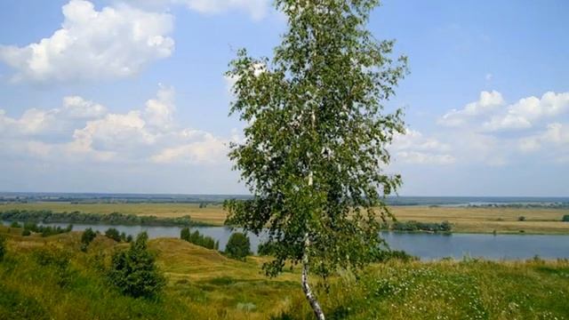 Есенин "Гой ты, Русь, моя родная..." Виталий Молчанов смотреть онлайн