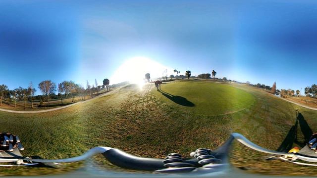 Ball and stick with your pal Mick 360 degree video смотреть онлайн