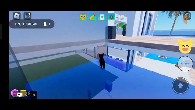 стрим по бабке?