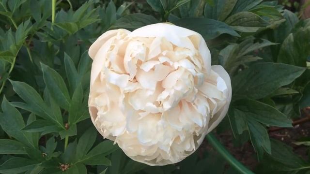 16 июня 2022 г. смотреть онлайн