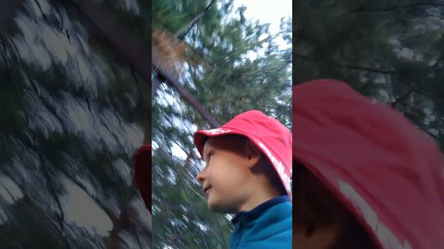 22 июня 2023 г. смотреть онлайн