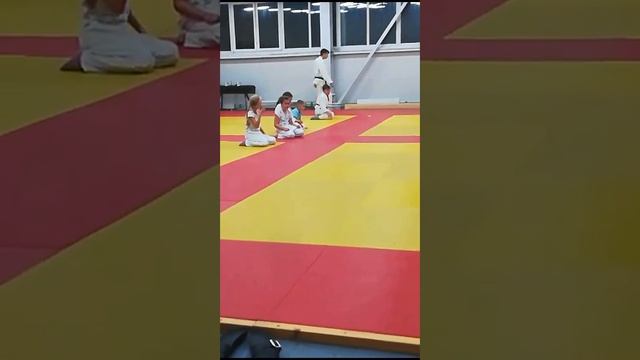 Тренер таракано-сабака-сосиска, ирими тенкан с опорой на руки. Полезные упражнения в игровой форме. смотреть онлайн